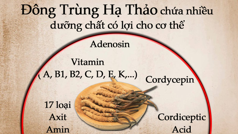dong_trung_ha_thao_component.